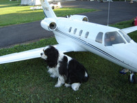 Modell Cessna Citation CJ1