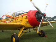 PZL 106 Kruk im niedrigen Vorbeiflug