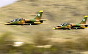 L-39 des Afghan National Air Corps (2007)