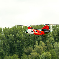 Image11