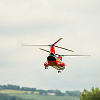 Image12