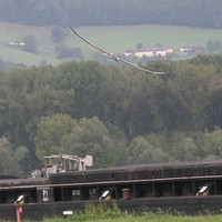 IMGP5590