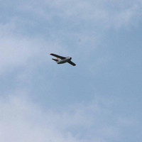 IMG 2889