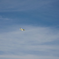 2016-05-20 Bubble Days 098